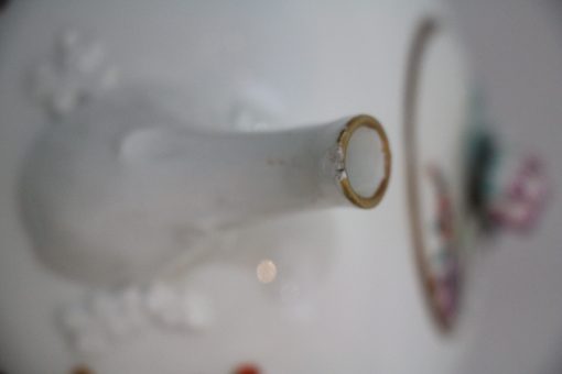 Porcelain Teapot- spout- styylish