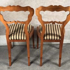 Pair of Biedermeier Chairs- back- styylish
