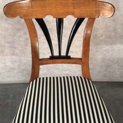 Six Biedermeier Chairs- backrest- styylish