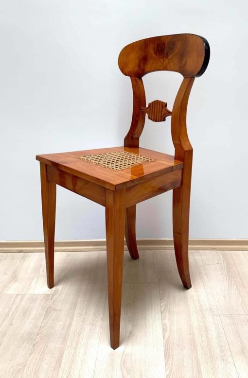 Six Biedermeier Board Chairs - Individual Chair Side View - Styylish