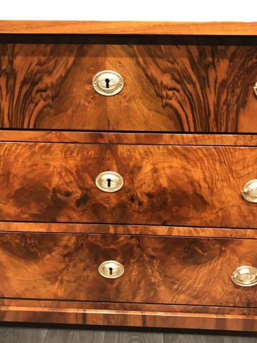 Biedermeier walnut dresser- Detail of drawers- styylish