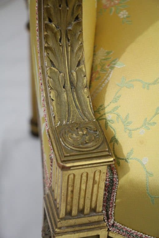 Louis XVI Style armchair- detail- styylish