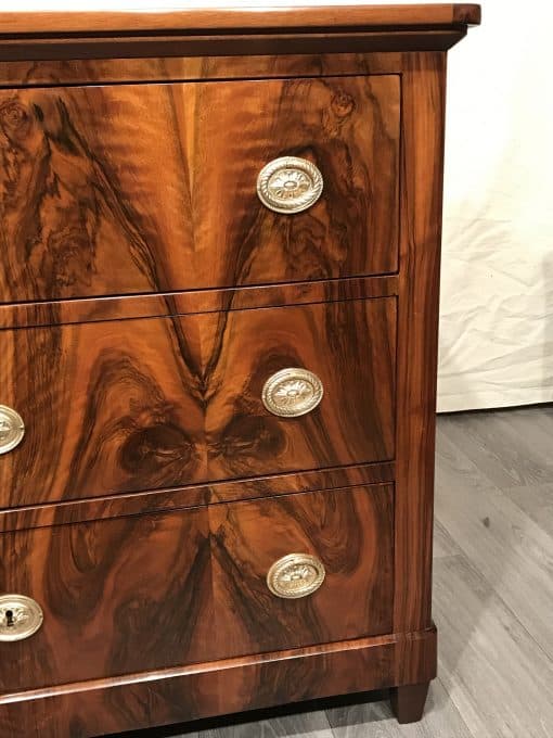German Biedermeier Dresser- detail of drawers- styylish