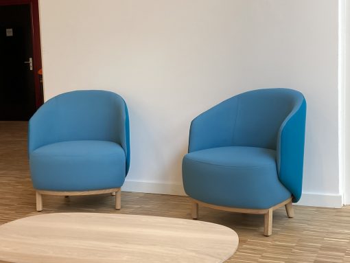 French Chair- blue- Styylish