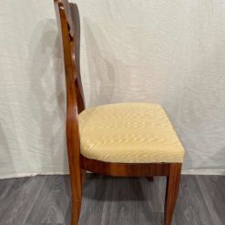 Viennese Biedermeier chairs- side view of one chair- styylish