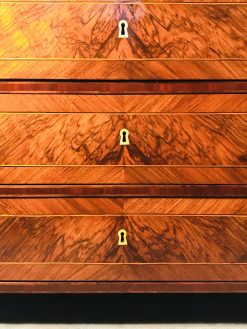 Neoclassical Chest of Drawers- detail of the middle part of the drawers- Styylish