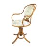 Art Nouveau Bentwood Swivel Chair- Styylish