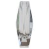 Transparent Glass Vase - Styylish