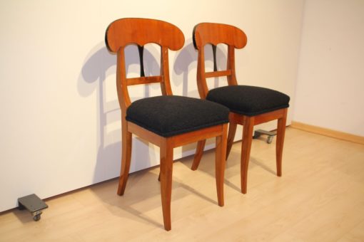 Pair of Biedermeier Shovel Chairs - Side View of Both - Styylish