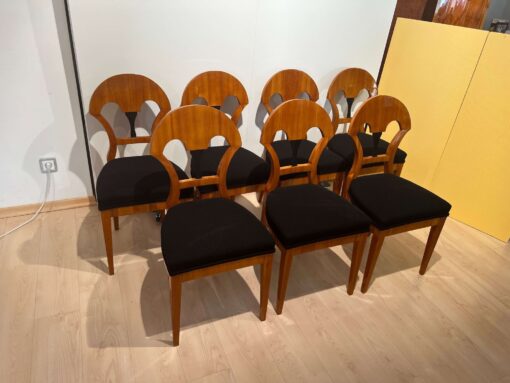 Seven Biedermeier Chairs - Side Profile - Styylish