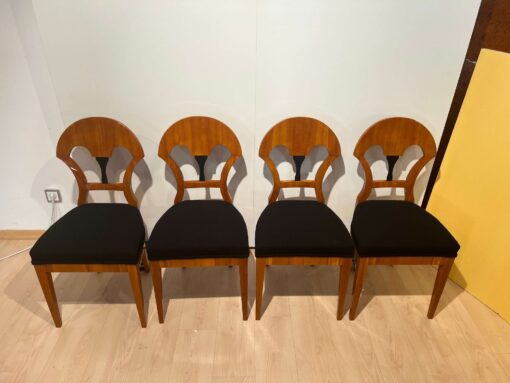 Seven Biedermeier Chairs - Front Profile - Styylish