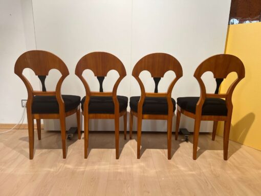 Seven Biedermeier Chairs - Back Profile - Styylish