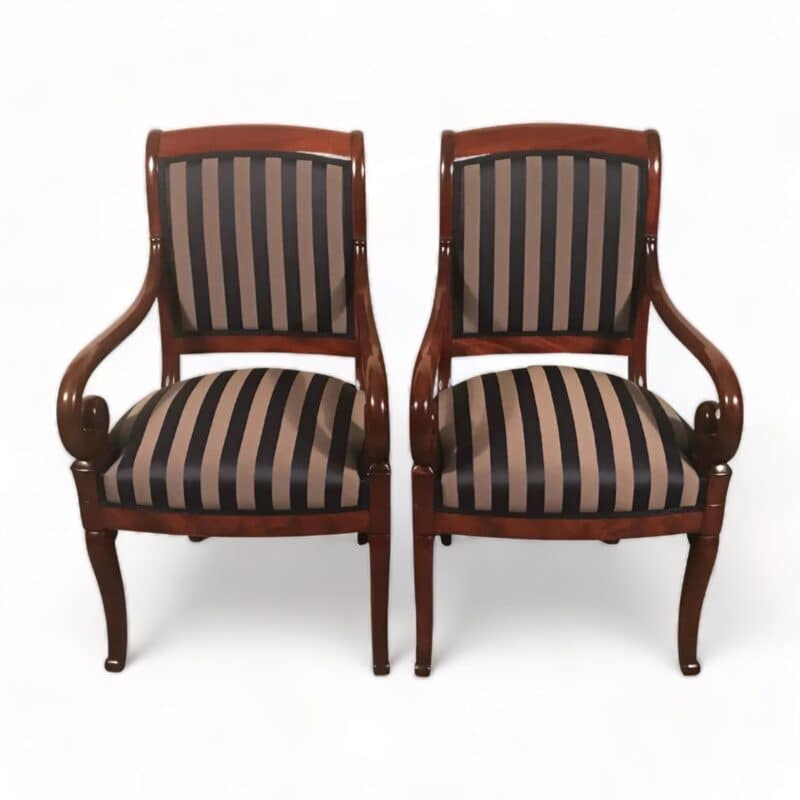 Pair of French 19th century Armchairs- Styylish