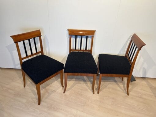 Set of Six Biedermeier Chairs - All Angles of Chairs - Styylish