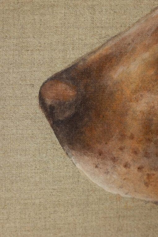 Painting of a Dog - Nose Detail - Styylish