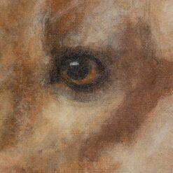 Painting of a Dog - Eye Detail - Styylish