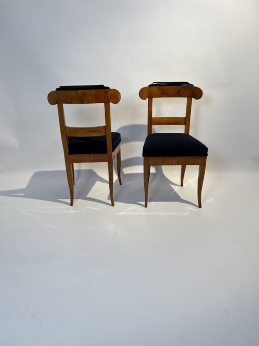 Five Original Biedermeier Chairs - Front and Back - Styylish