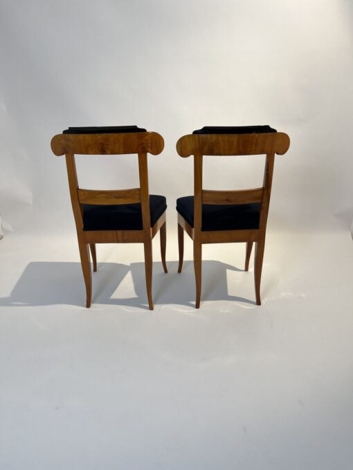 Five Original Biedermeier Chairs - Back Angle - Styylish