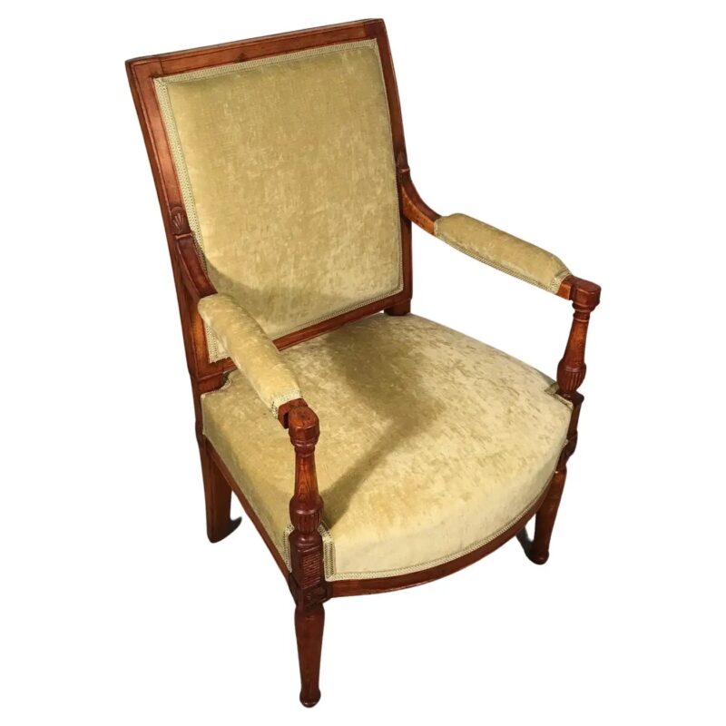 French Directoire Armchair - Styylish