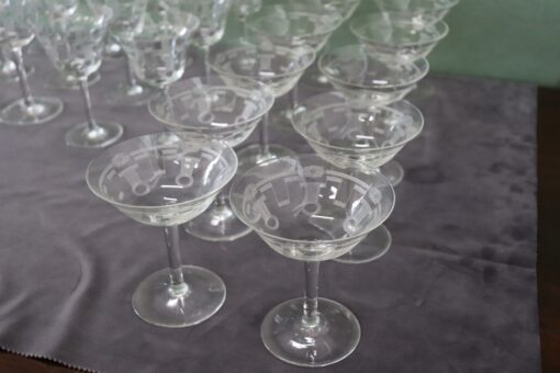 Crystal Glasses Set of 28 - Etching Detail - Styylish