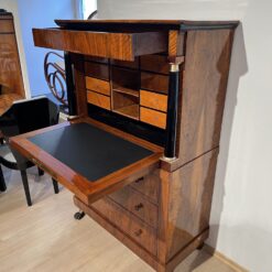 Biedermeier Secretaire - Compartments And Desk - Styylish