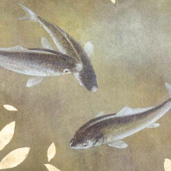 Carp Painting - Carp Details - Styylish