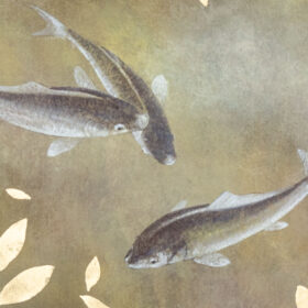 Carp Painting, Contemporary Work