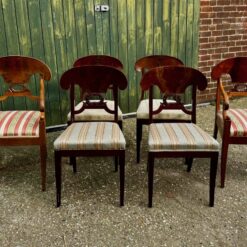 Set of 6 Swedish Biedermeier Dining Chairs - full view- Styylish