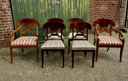 Set of 6 Swedish Biedermeier Dining Chairs - full view- Styylish