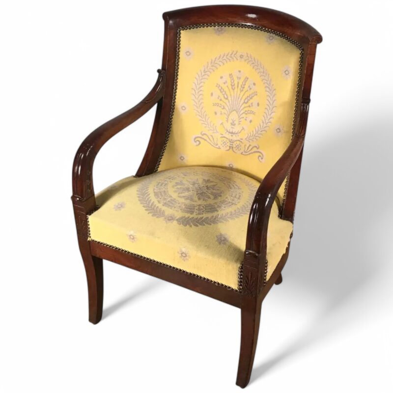 French antique Armchair- Styylish