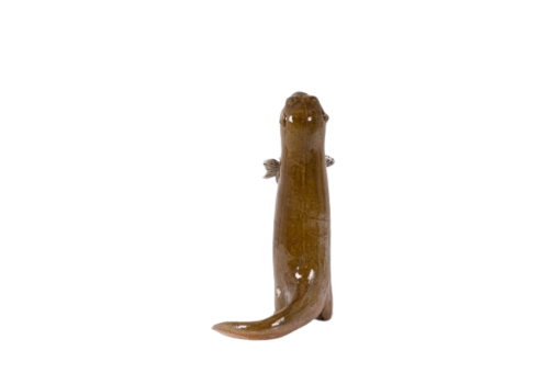 Stoneware Otter Sculpture - Back Profile - Styylish