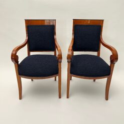 Pair of Biedermeier Salon Chairs - fronts -Styylish