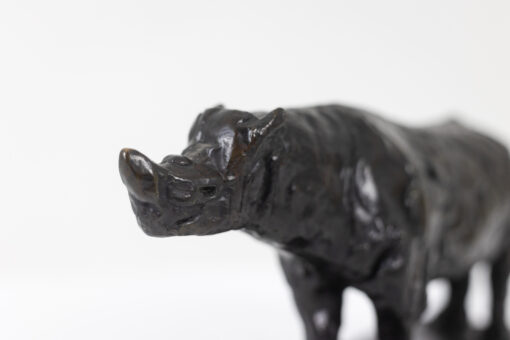 Bronze Rhinoceros Sculpture - Head Detail - Styylish