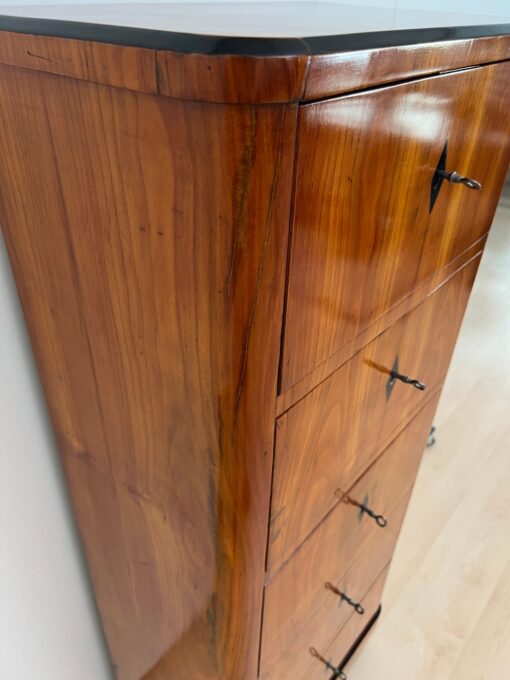 Five Drawer Biedermeier Chiffonier, South Germany circa 1820 - Image 13