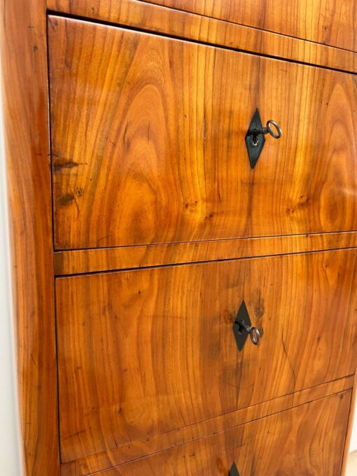 Five Drawer Biedermeier Chiffonier, South Germany circa 1820 - Image 14