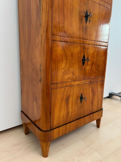Five Drawer Biedermeier Chiffonier, South Germany circa 1820 - Image 15