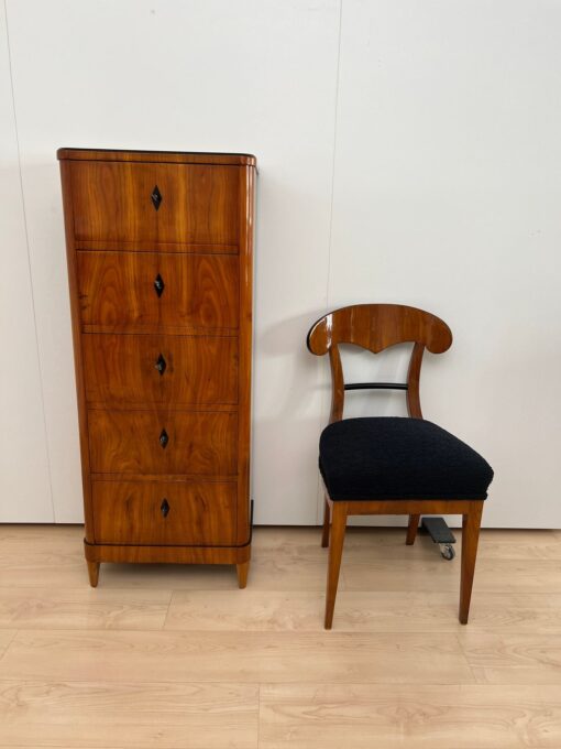 Five Drawer Biedermeier Chiffonier, South Germany circa 1820 - Image 16