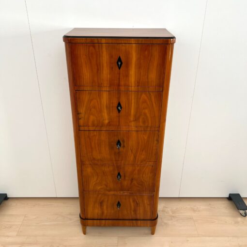 Five Drawer Biedermeier Chiffonier, South Germany circa 1820 - Image 3
