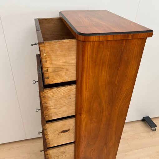 Five Drawer Biedermeier Chiffonier, South Germany circa 1820 - Image 6