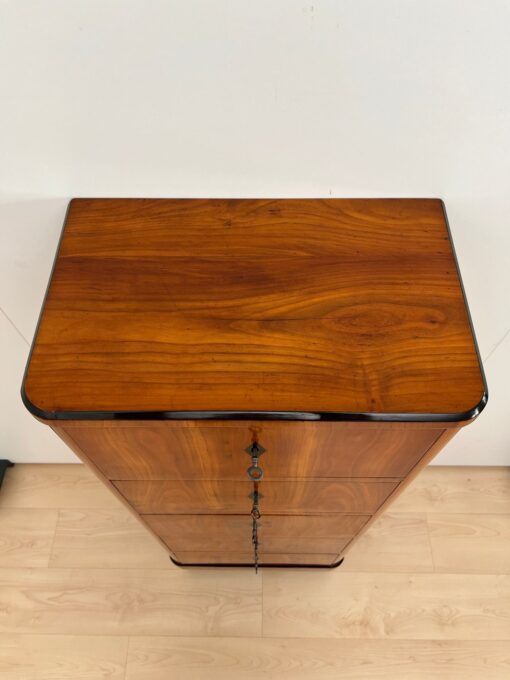 Five Drawer Biedermeier Chiffonier, South Germany circa 1820 - Image 8