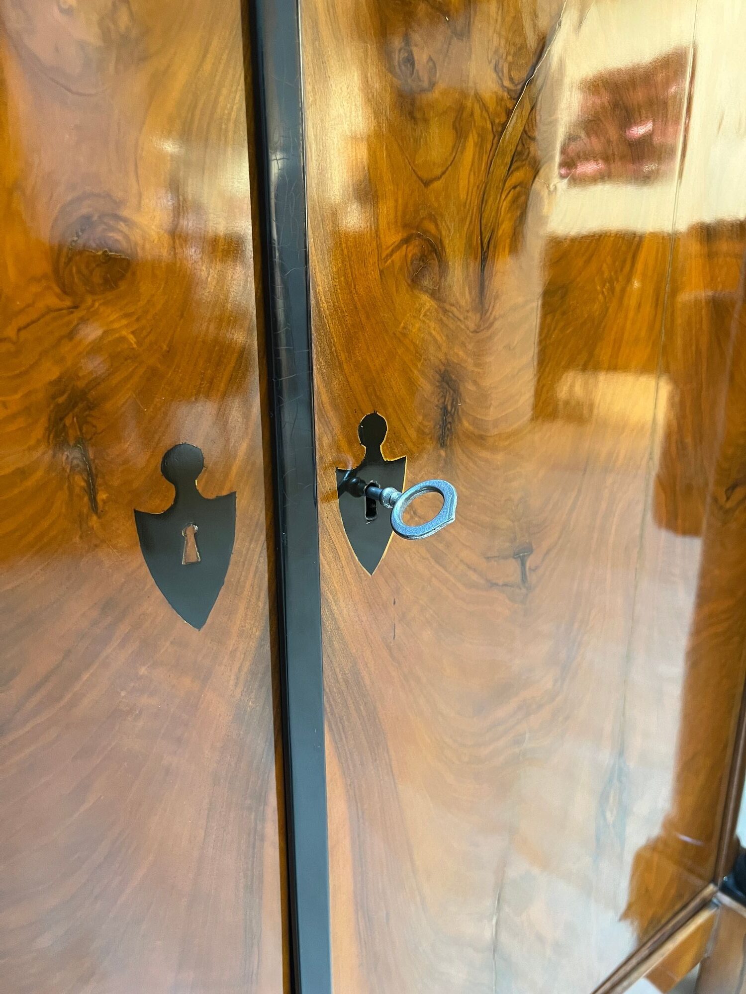 Large Biedermeier Half-Cabinet, Walnut and Ebonized, South Germany circa 1820 - Image 9