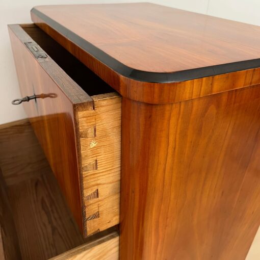 Five Drawer Biedermeier Chiffonier, South Germany circa 1820 - Image 9