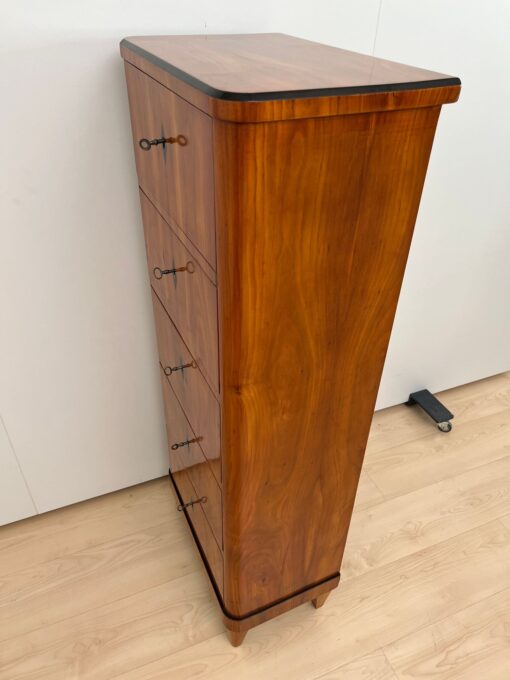 Five Drawer Biedermeier Chiffonier, South Germany circa 1820 - Image 10