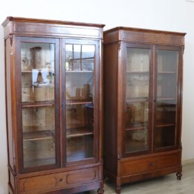 19th Century Italian Pair of Antique Bookcases