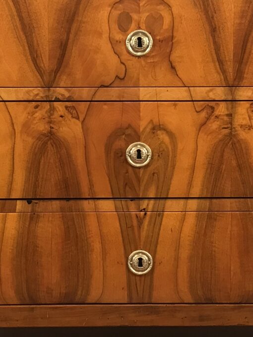 Biedermeier Walnut Chest of Drawers, 1820 - Image 8