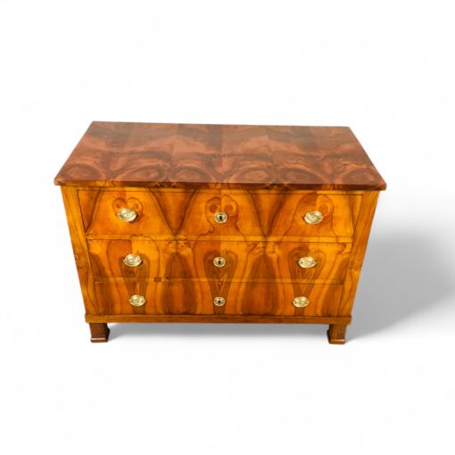 Biedermeier Walnut Chest of Drawers, 1820 - Image 9