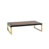 Bronze Coffee Table - Styylish