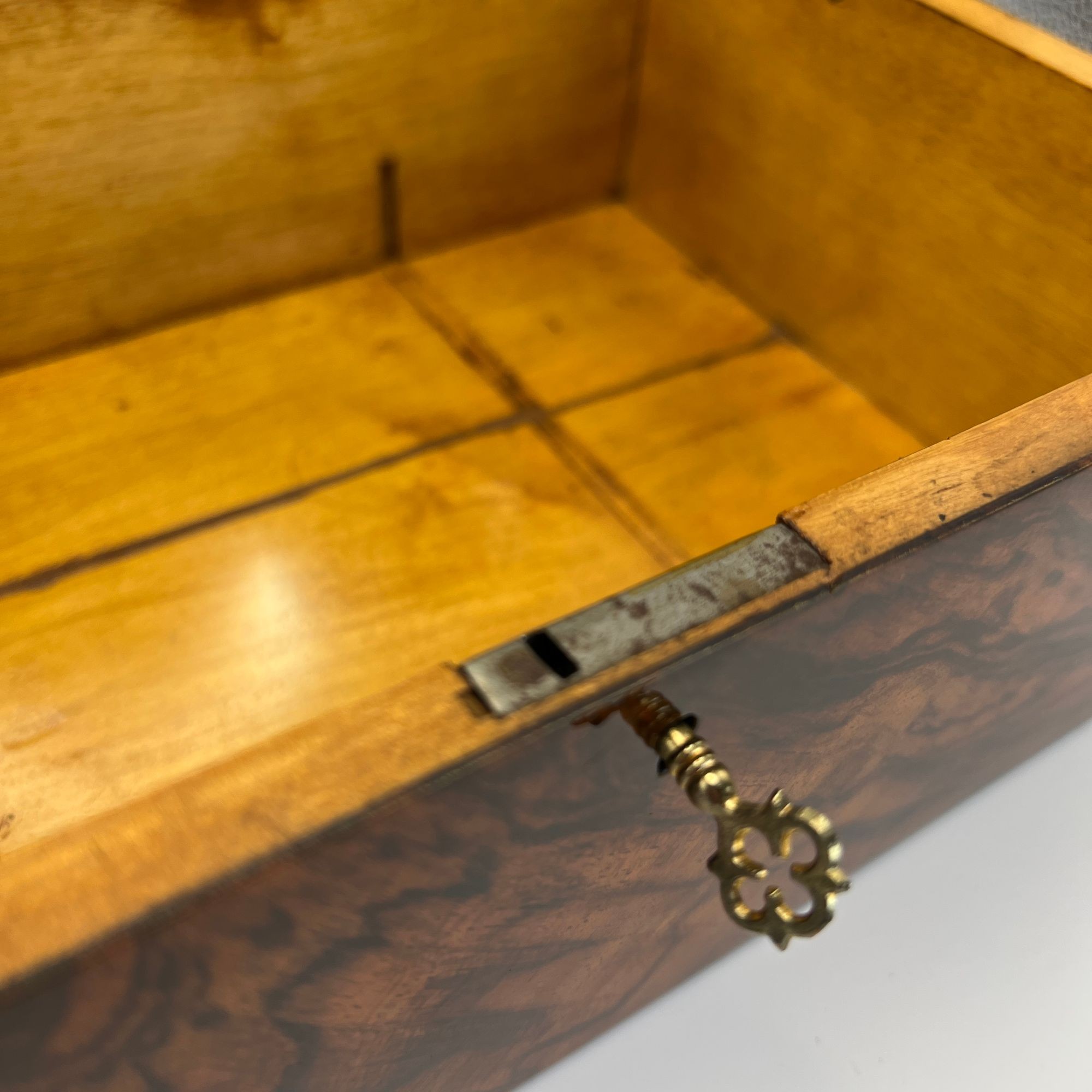 Biedermeier Walnut Box, Austria, circa 1840 - Image 15