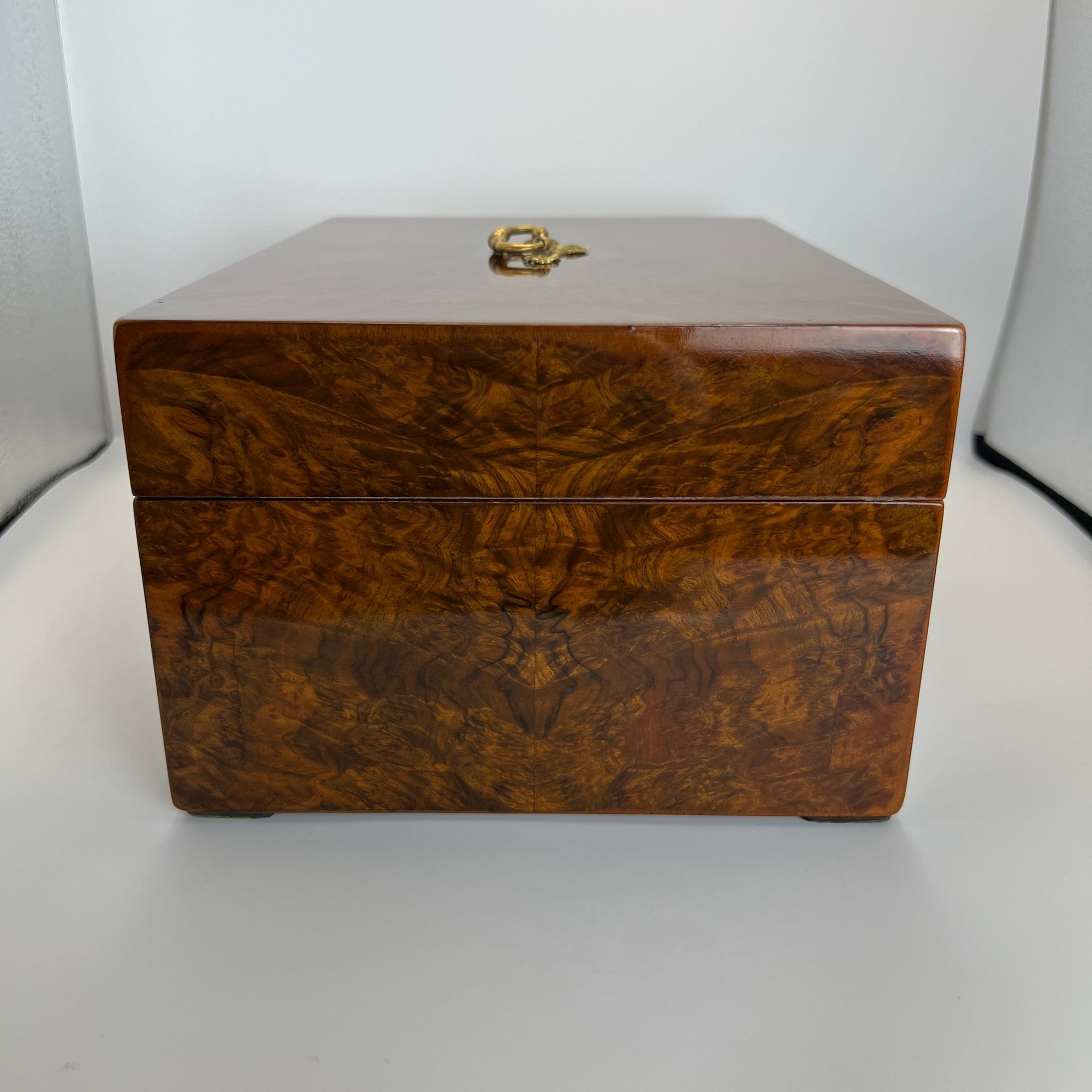 Large Biedermeier Walnut Box, Austria circa 1850 - Image 4