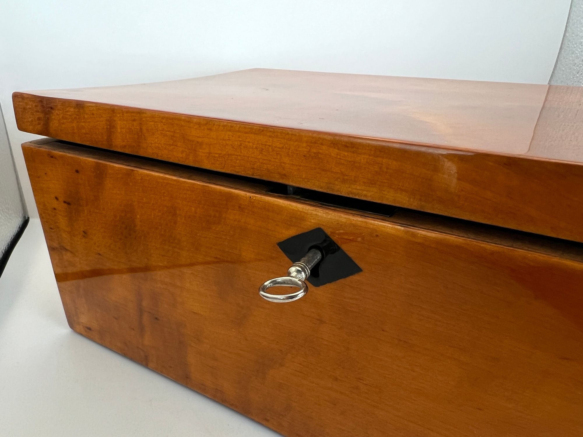 Biedermeier Birch Box, Northern Germany, circa 1840 - Image 9